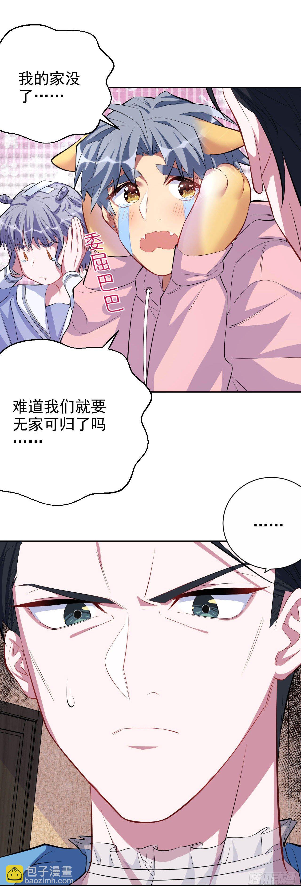26.宠物终结者6