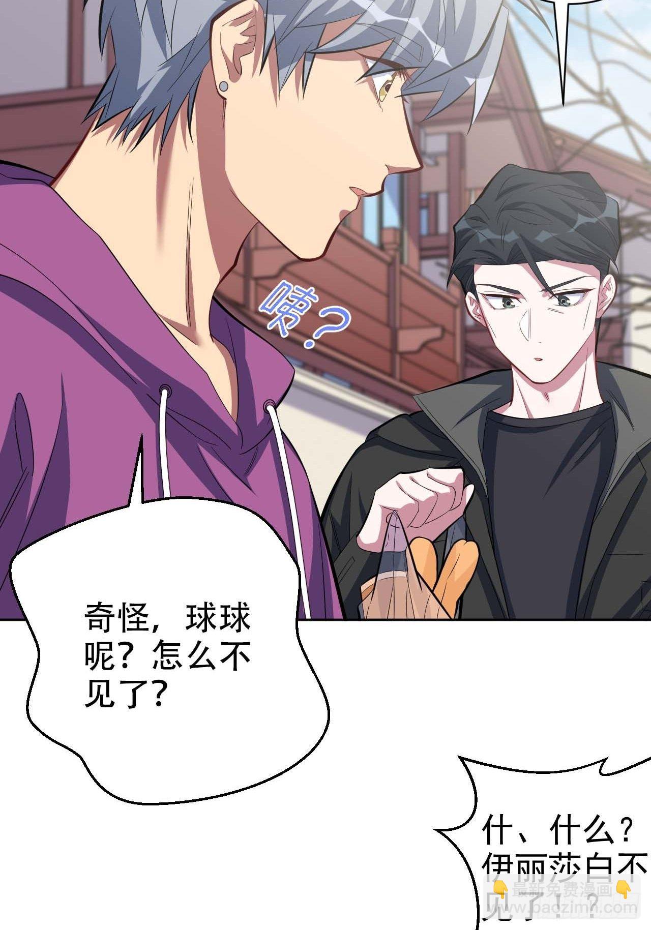 31.球球走丢了17