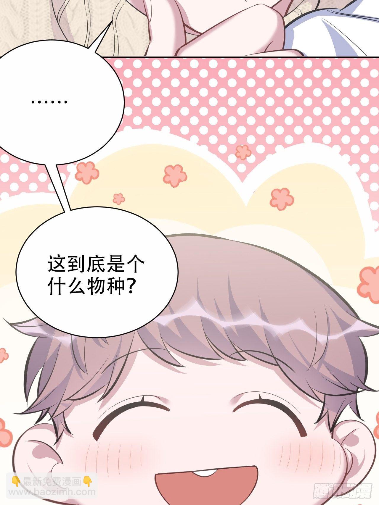 71.人类幼崽不简单37