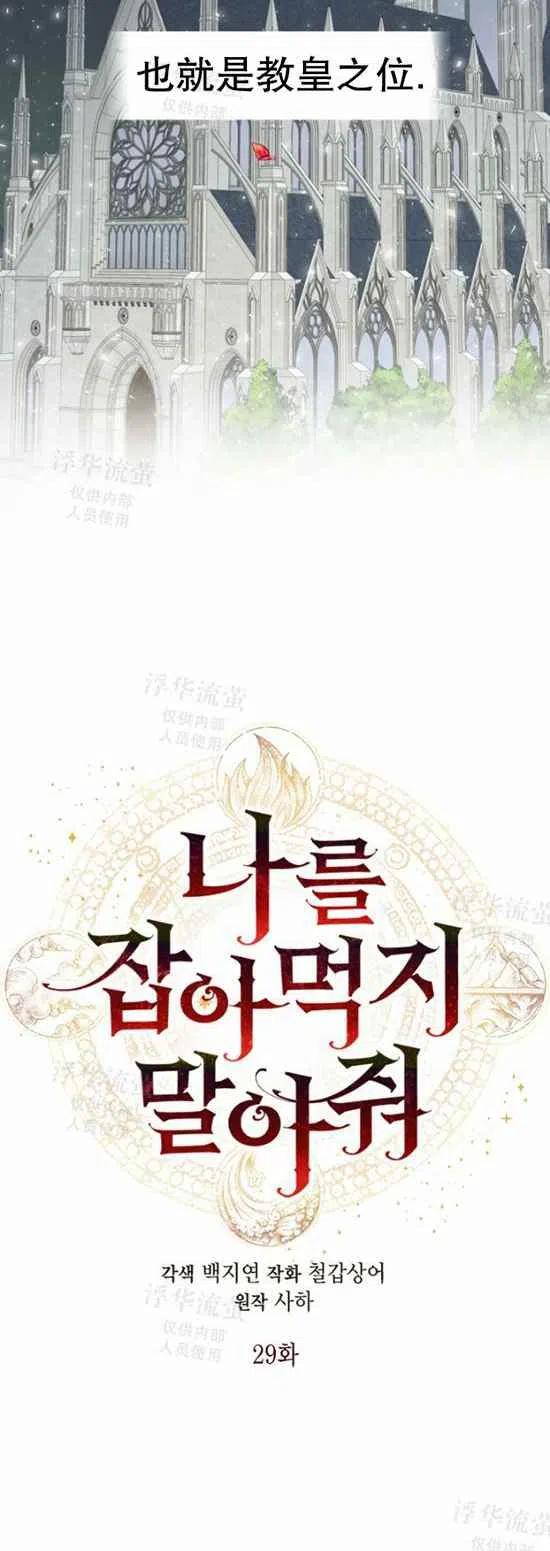 第29话13