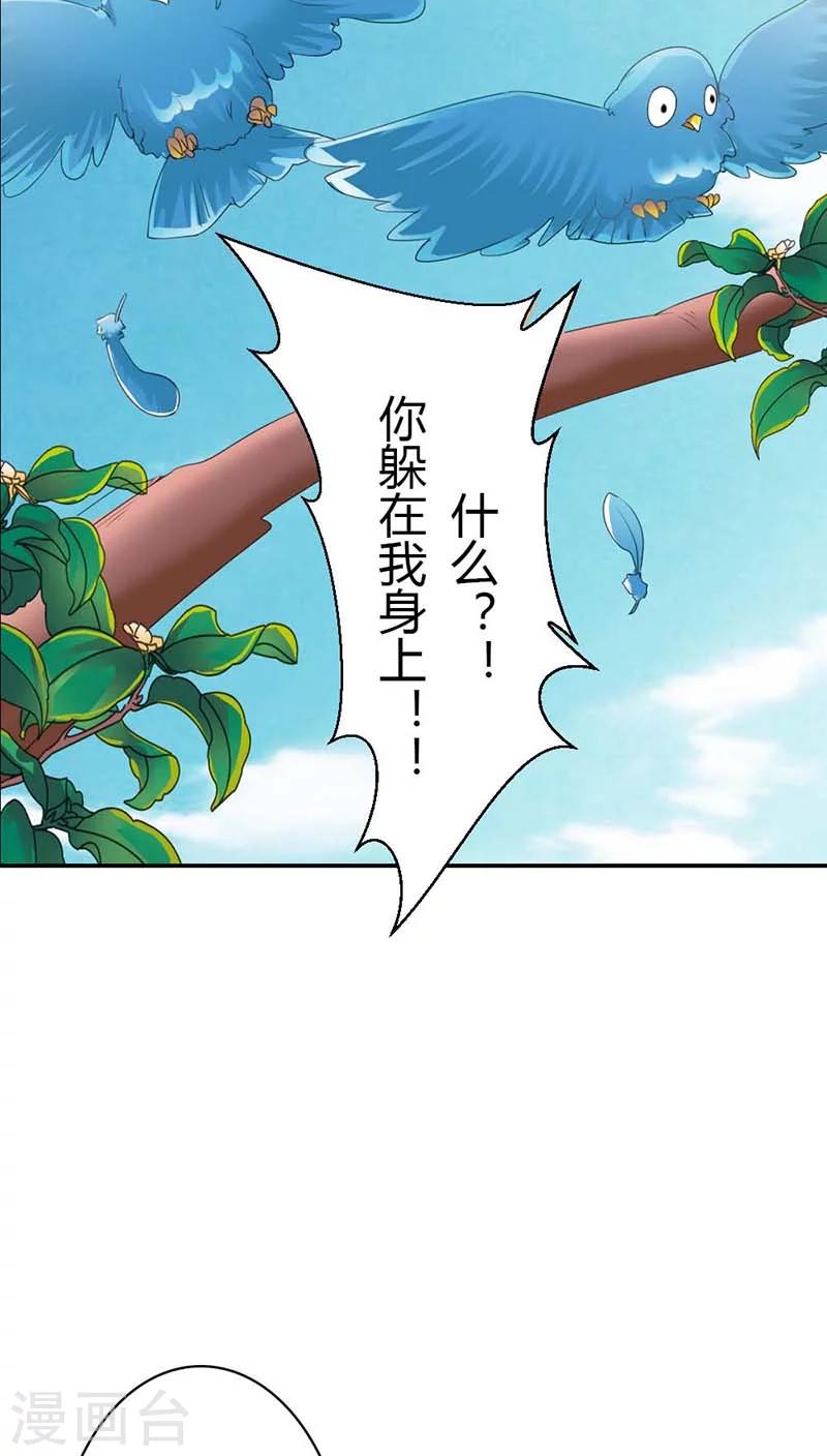 第3季11话 躲猫猫13