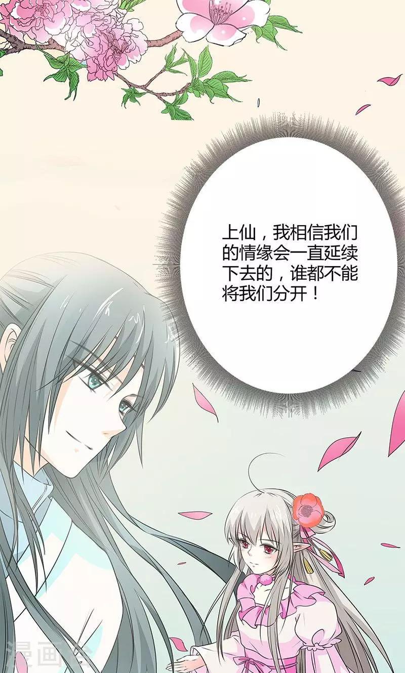 第3季56话 情缘树17