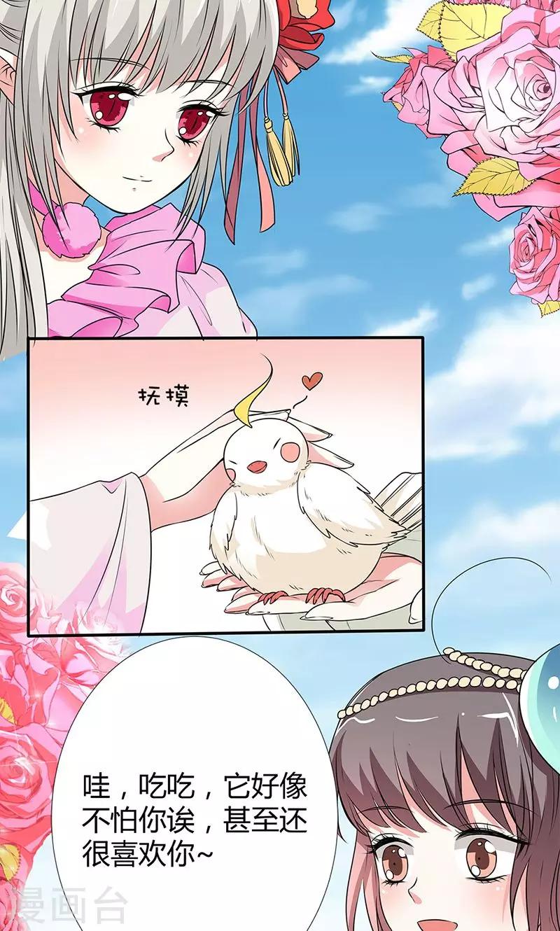 第3季56话 情缘树8