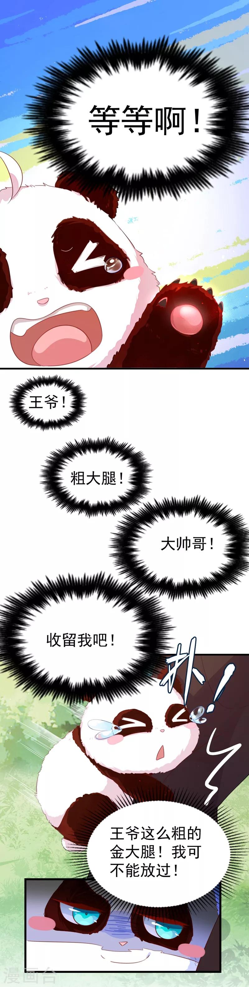第3话 想做熊猫的铲屎官吗？11
