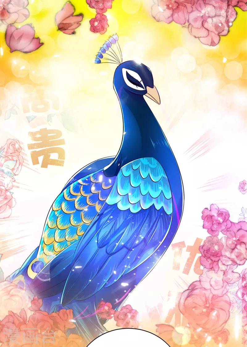 第37话 会八国语言的网红孔雀1