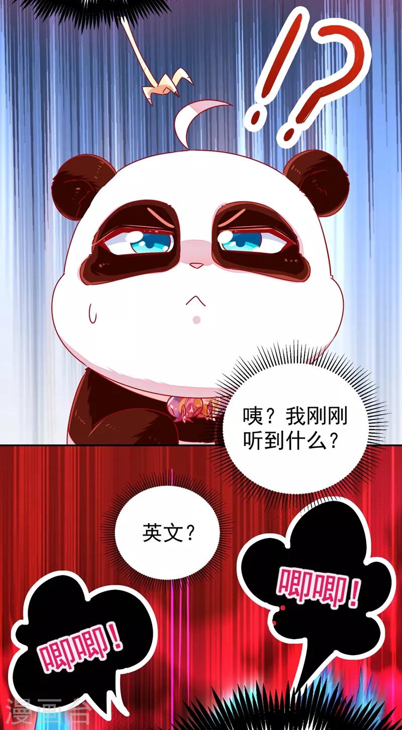 第37话 会八国语言的网红孔雀11