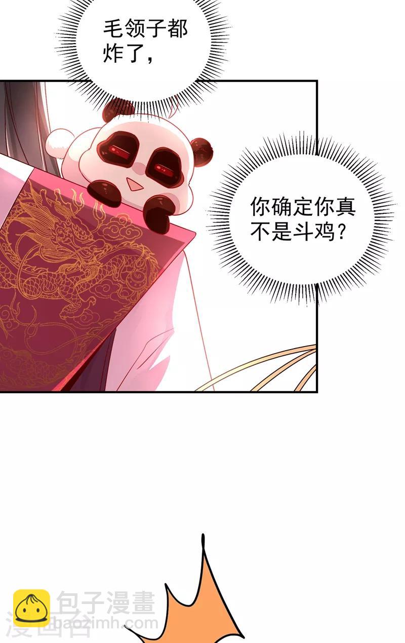 第37话 会八国语言的网红孔雀14