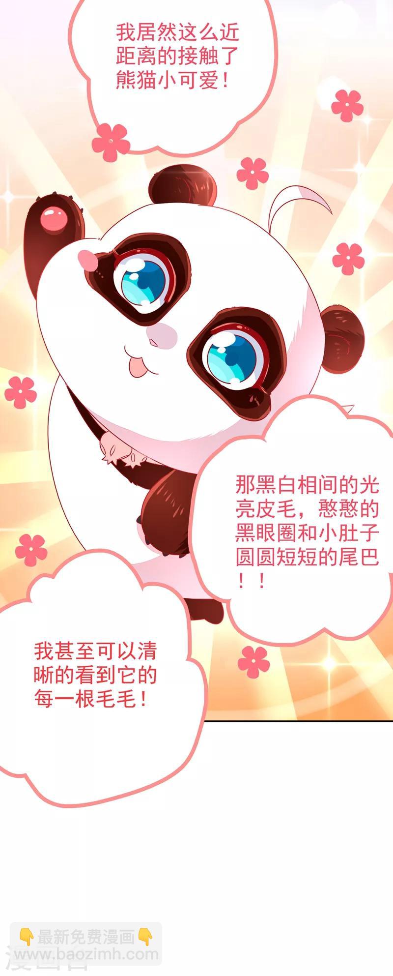 第37话 会八国语言的网红孔雀22