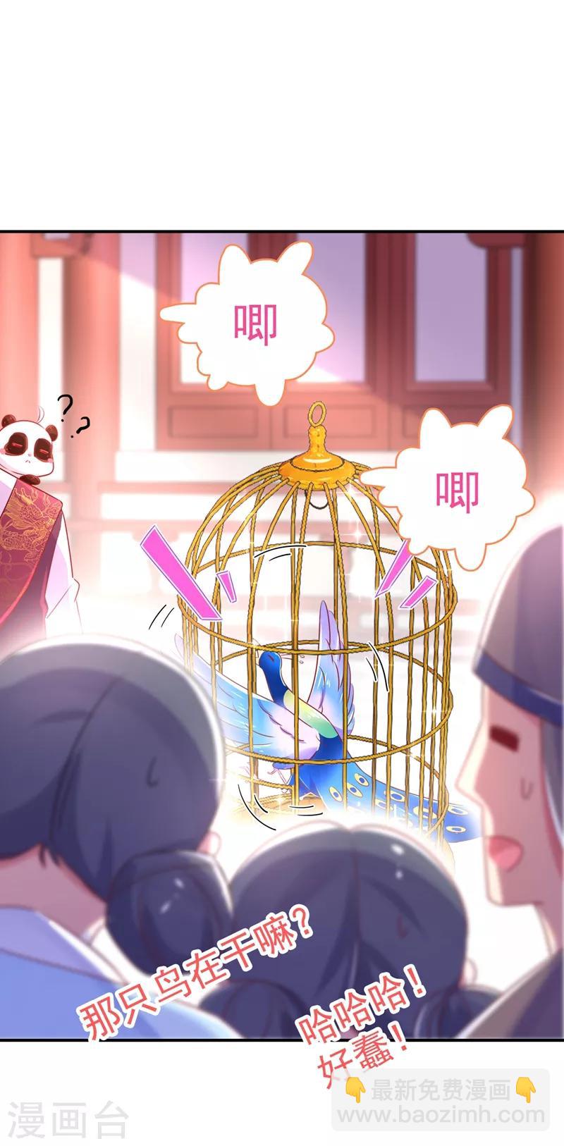 第37话 会八国语言的网红孔雀23