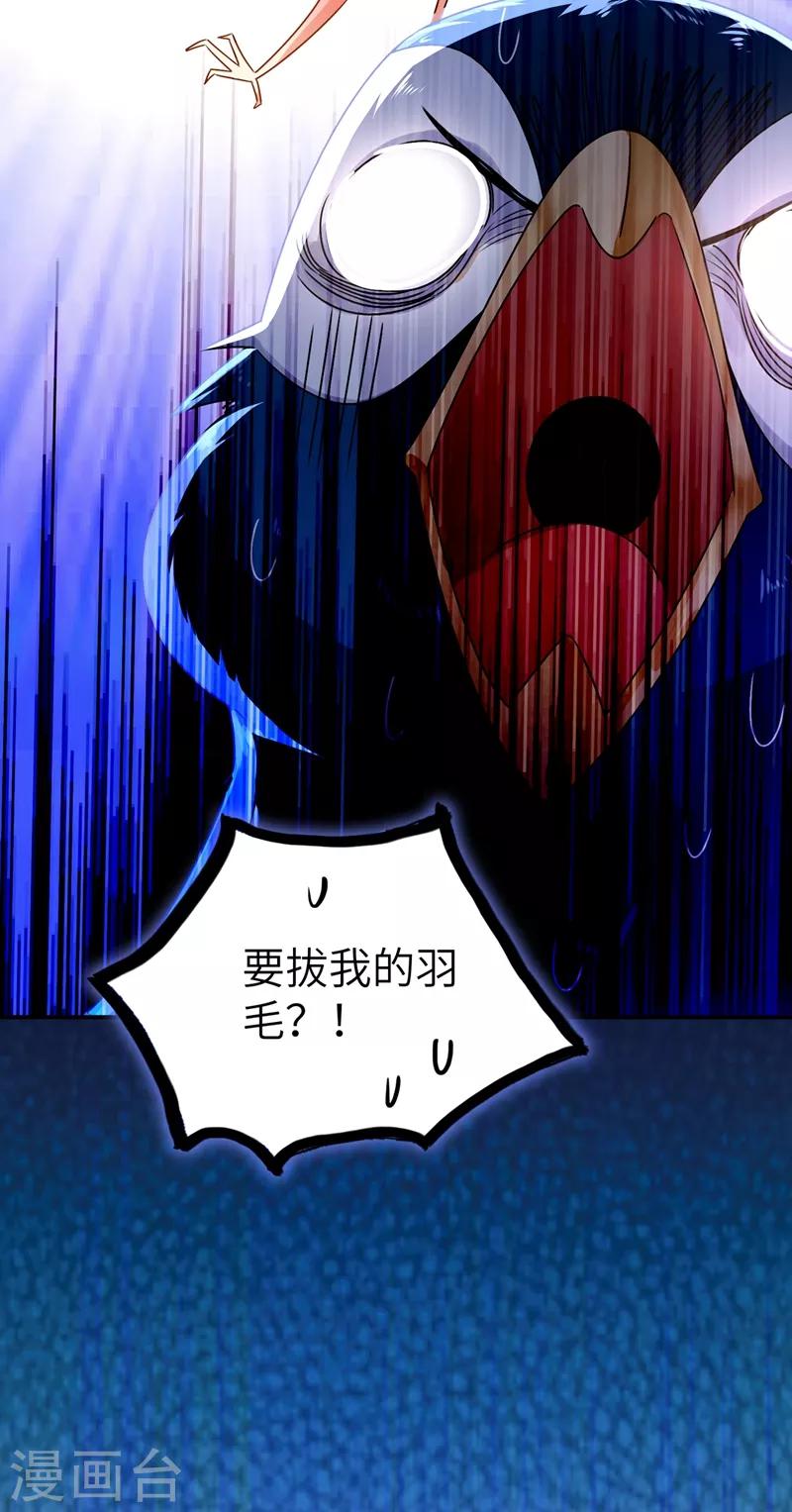 第37话 会八国语言的网红孔雀42