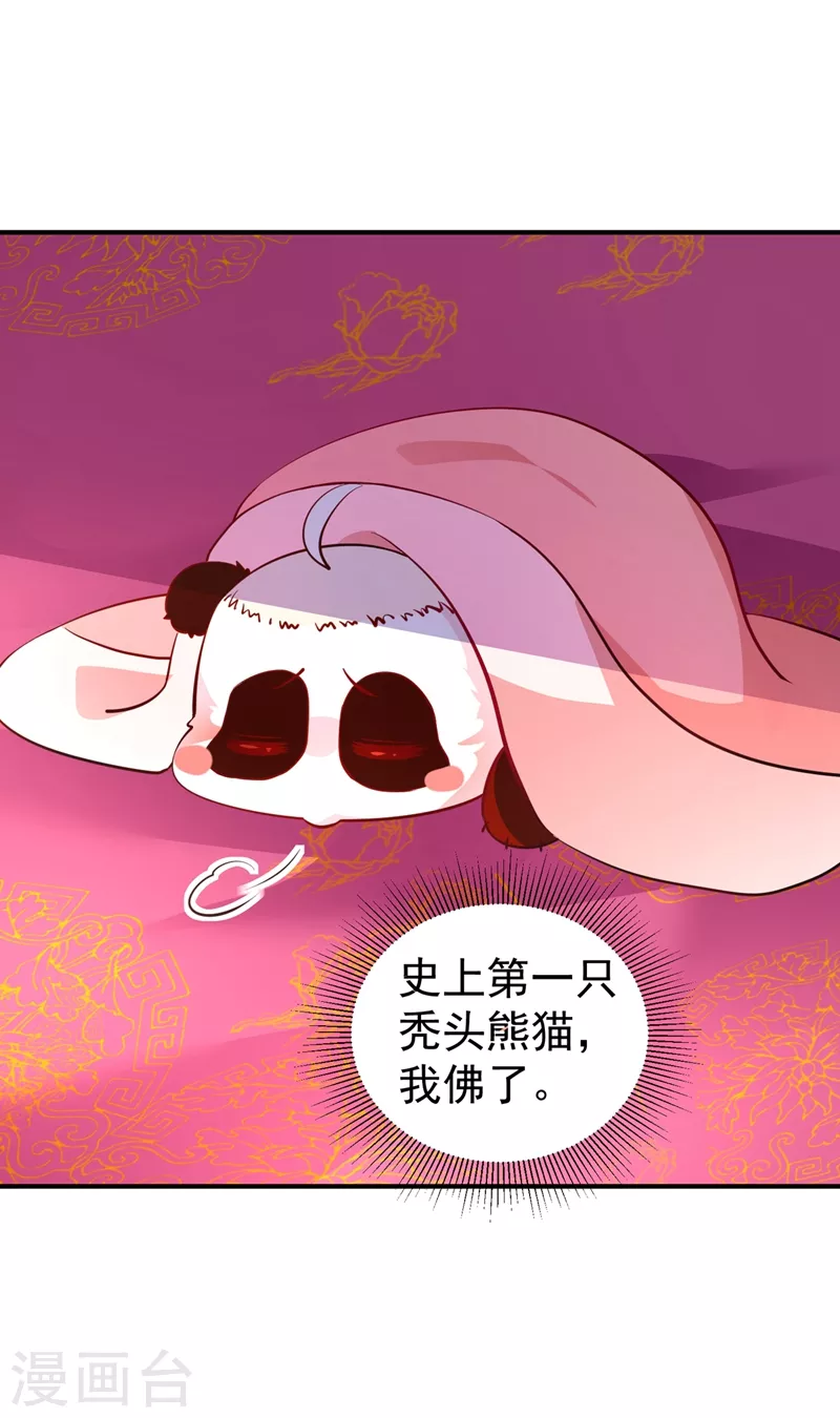 番外3 秃头那点事儿1
