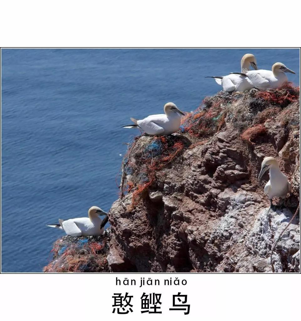第54话4