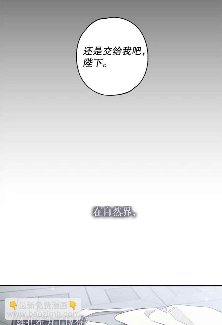 第41话41