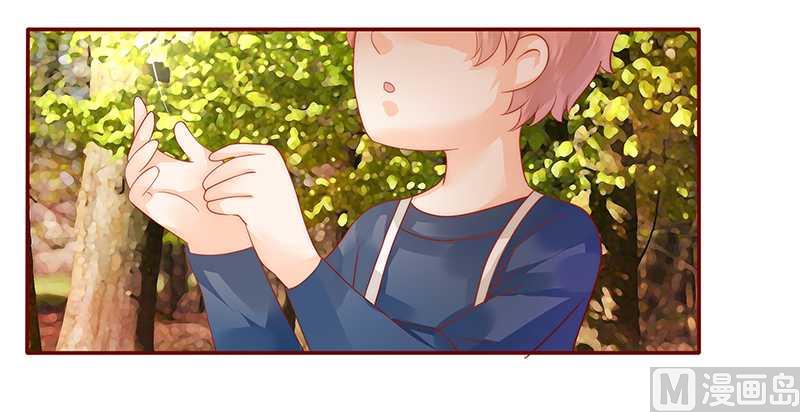 第35话 淀园花谷2