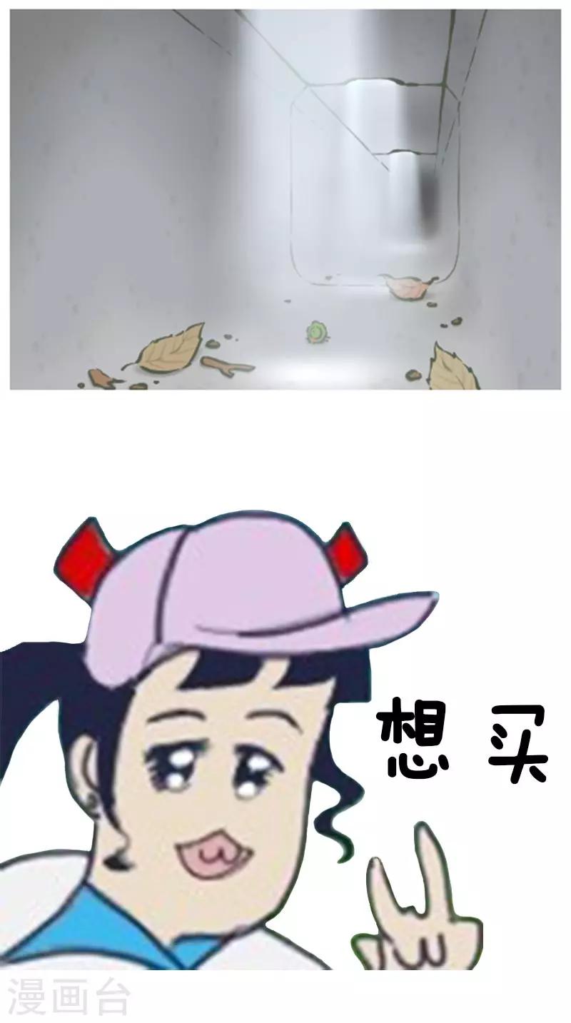 第11话 刷三叶草？4