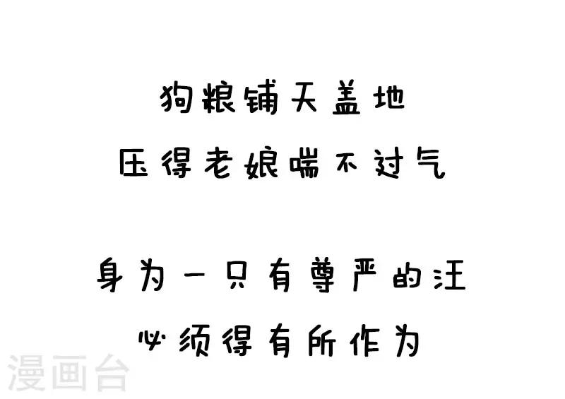 第26话 反狗粮攻略2