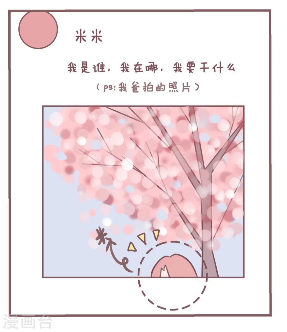 第82话 论家长们的拍照技术2