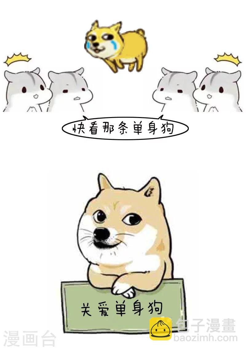 第93话 表情包丨这是一个莫名其妙多出来的虐狗日14
