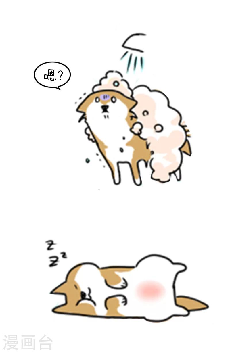 第93话 表情包丨这是一个莫名其妙多出来的虐狗日18