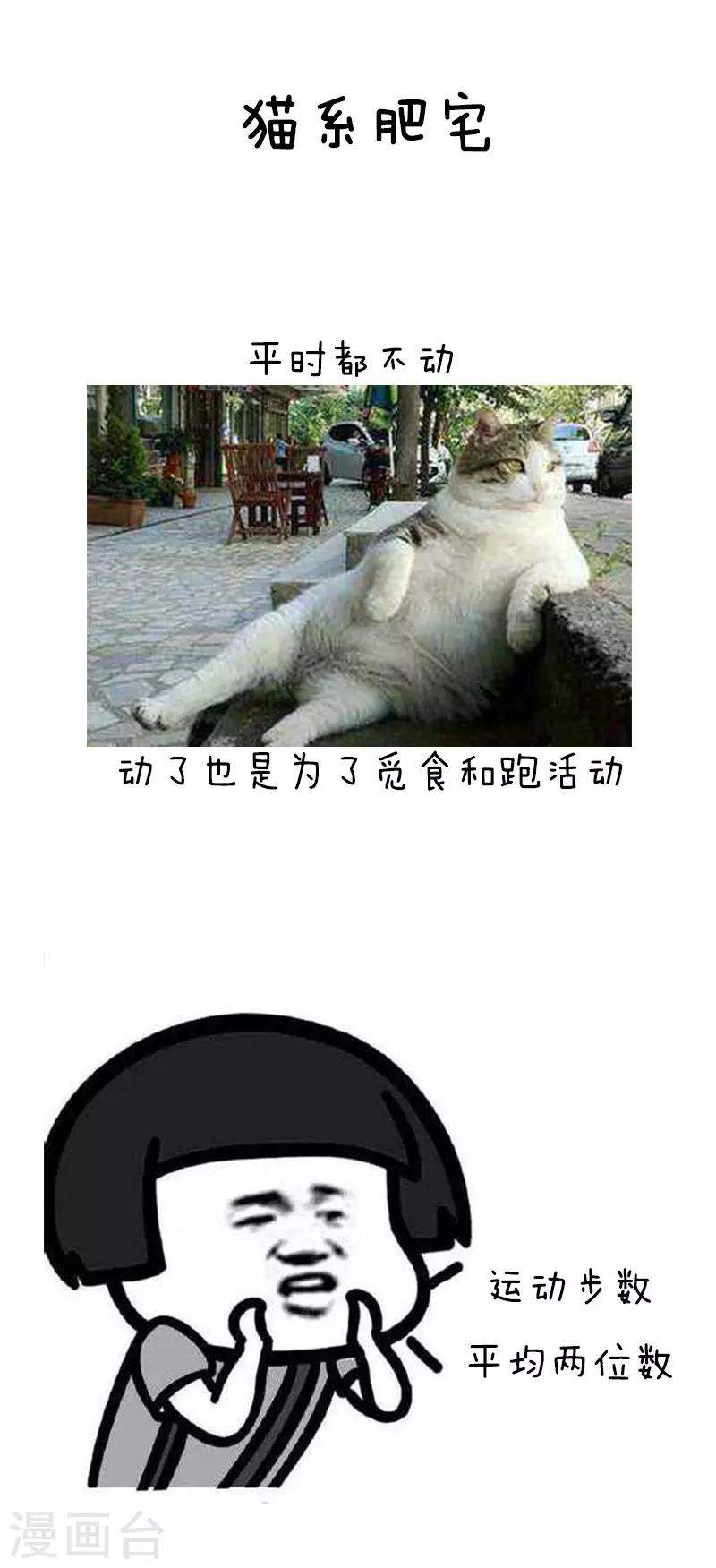 第110话 表情包丨从今天起，我们都是肥宅4