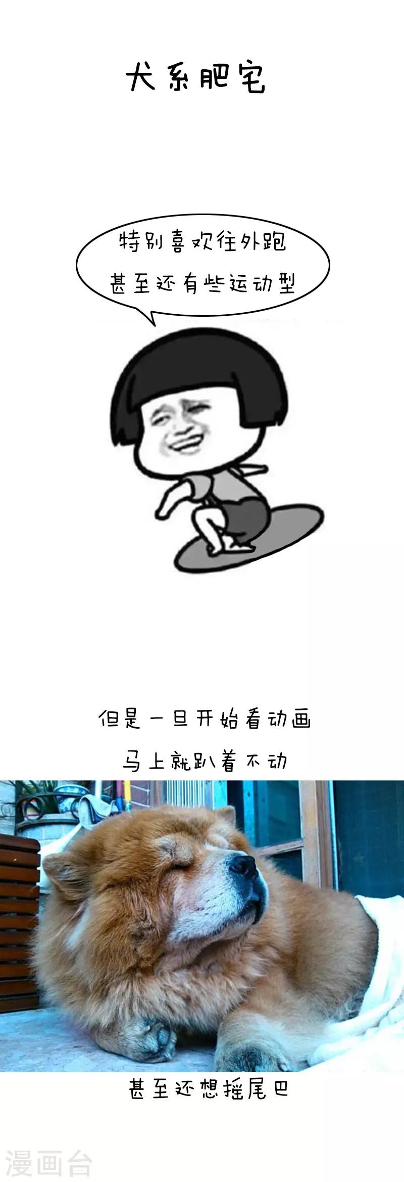 第110话 表情包丨从今天起，我们都是肥宅5