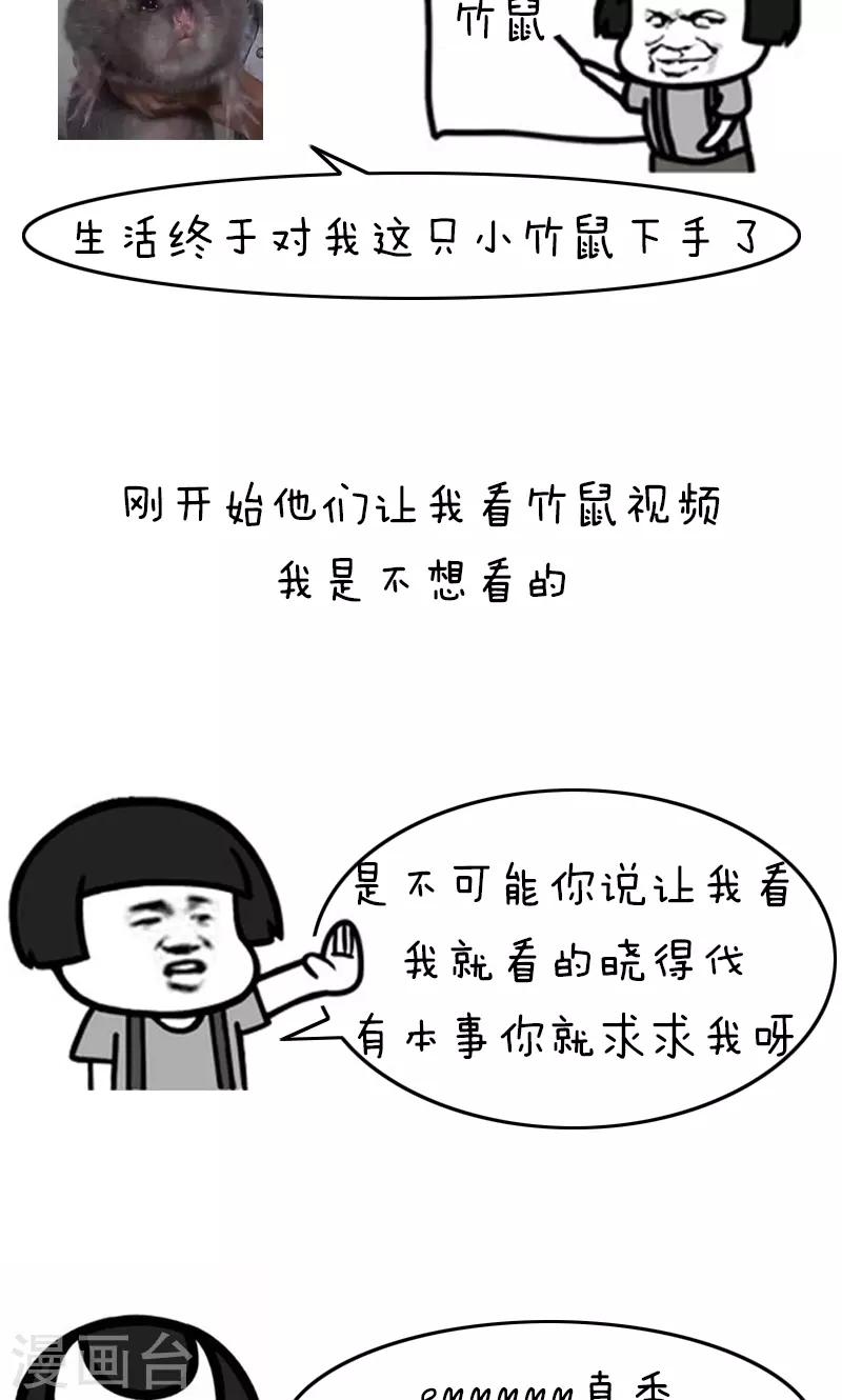第178话 表情包丨吃竹鼠的一百种理由1