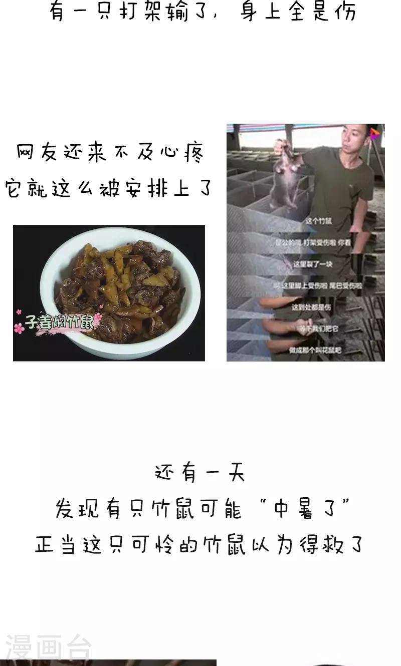 第178话 表情包丨吃竹鼠的一百种理由3