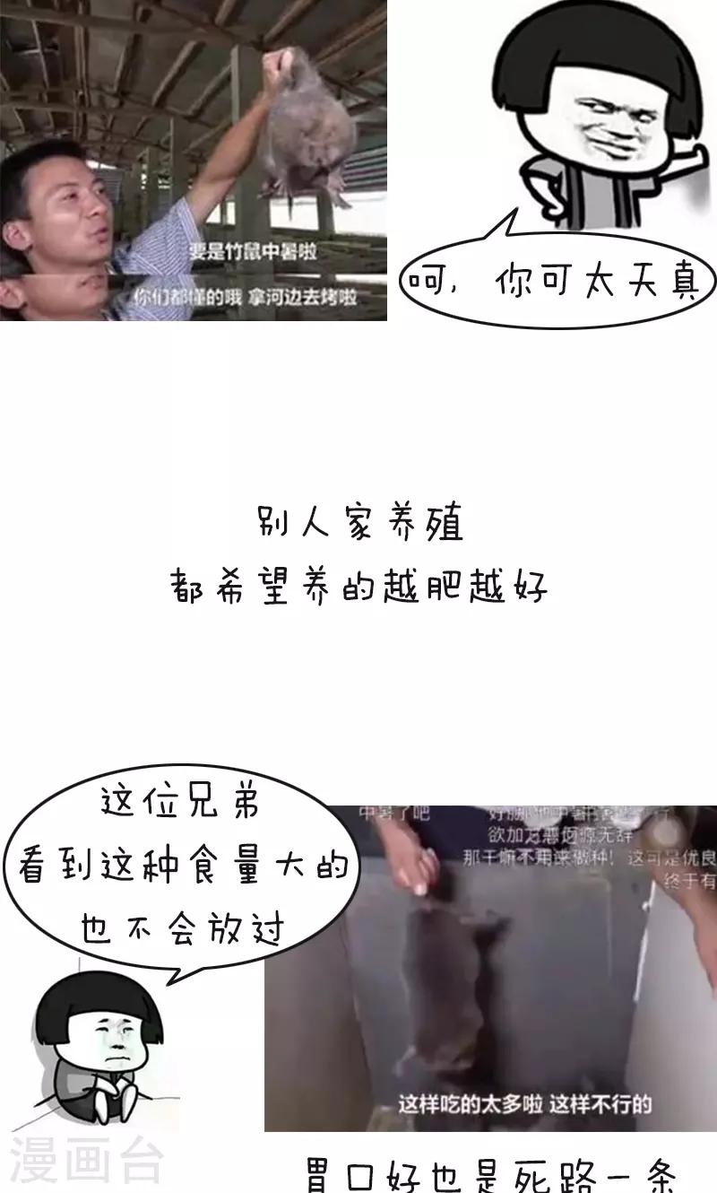 第178话 表情包丨吃竹鼠的一百种理由4