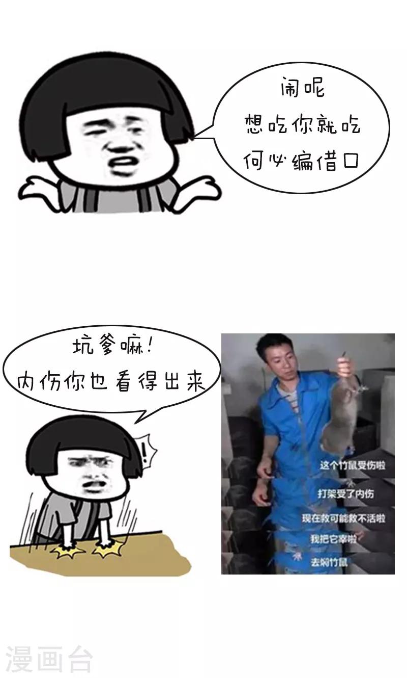 第178话 表情包丨吃竹鼠的一百种理由6