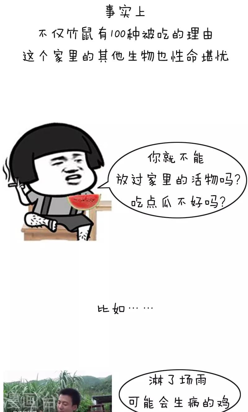 第178话 表情包丨吃竹鼠的一百种理由7