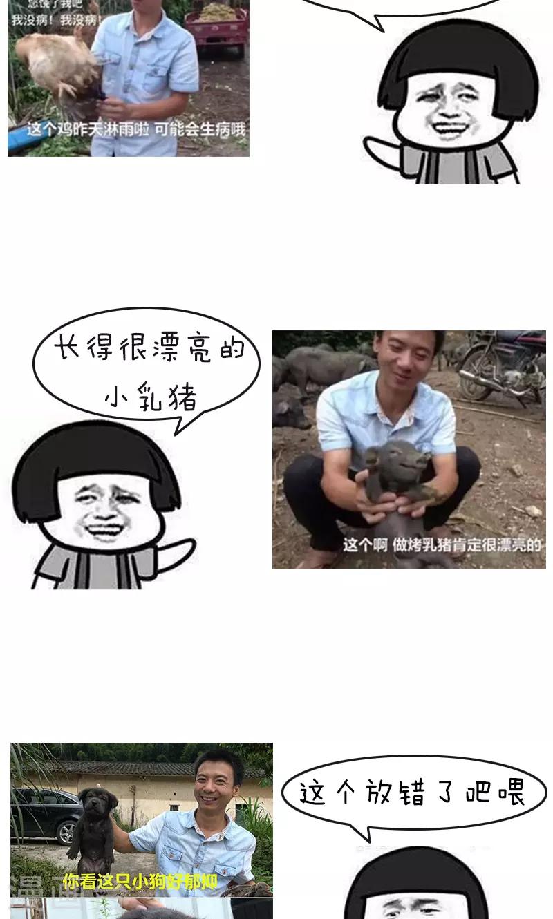 第178话 表情包丨吃竹鼠的一百种理由8