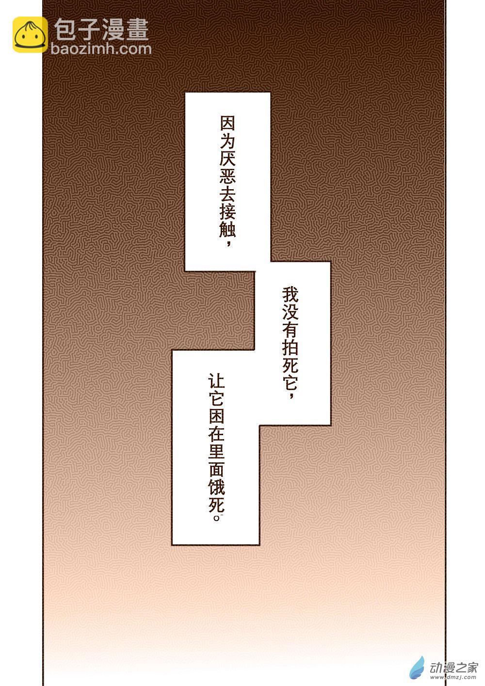 蟑螂4