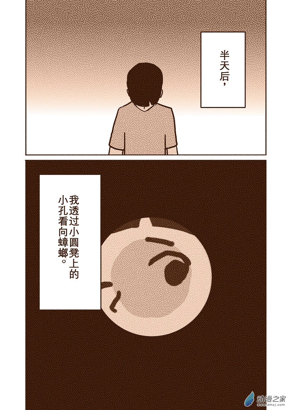 蟑螂5