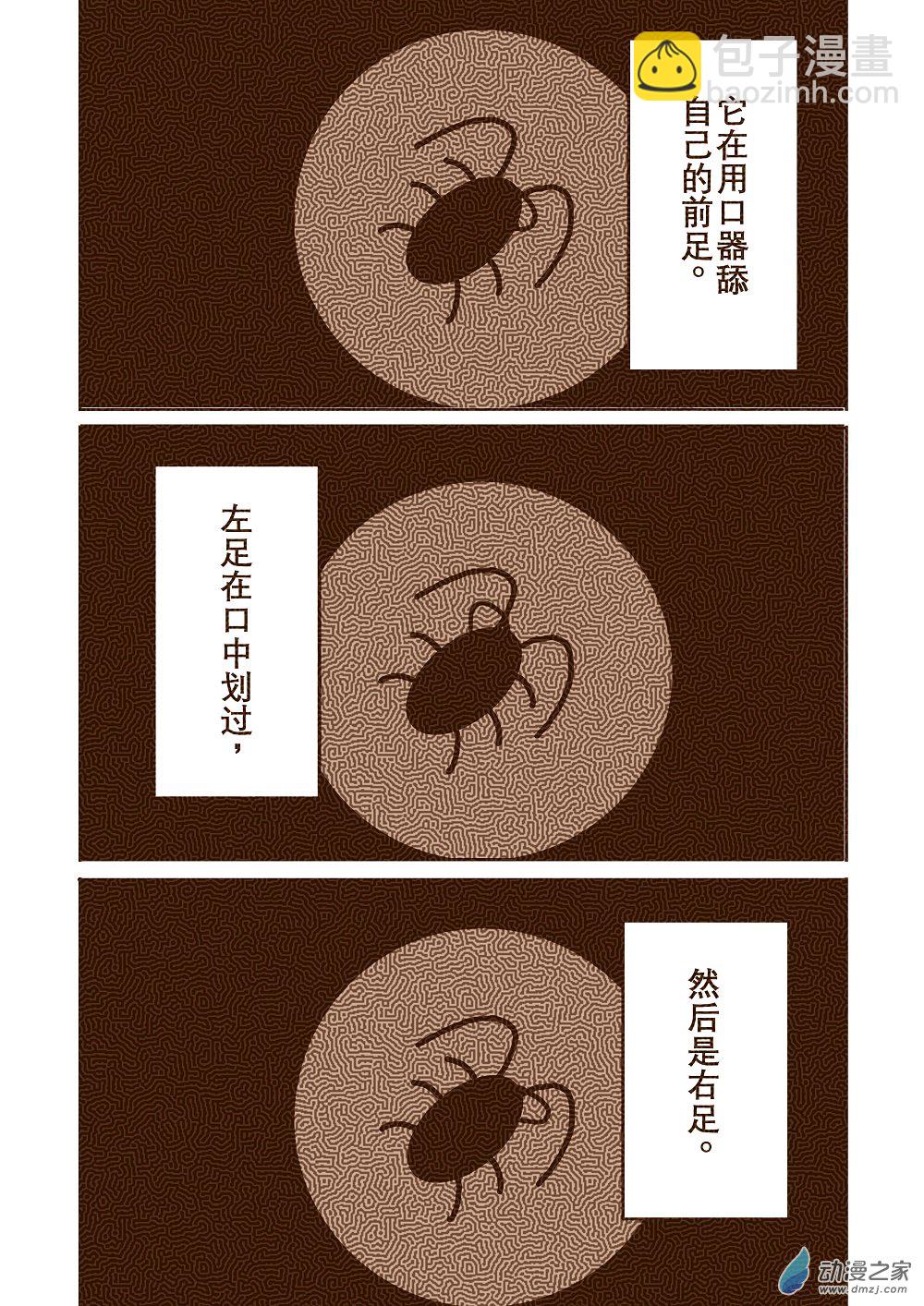 蟑螂6