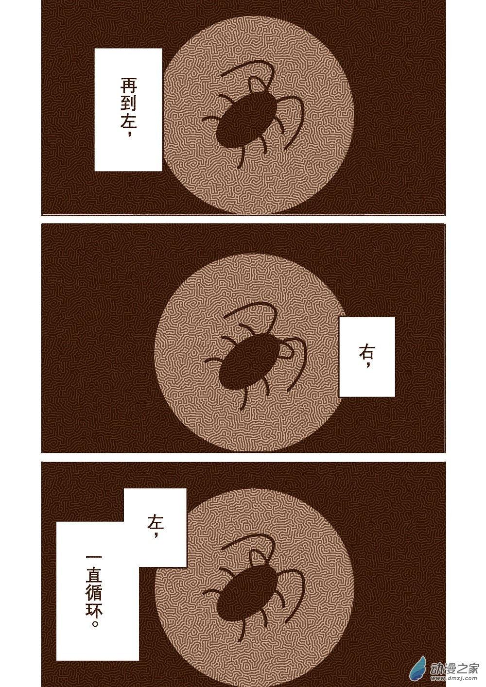 蟑螂7