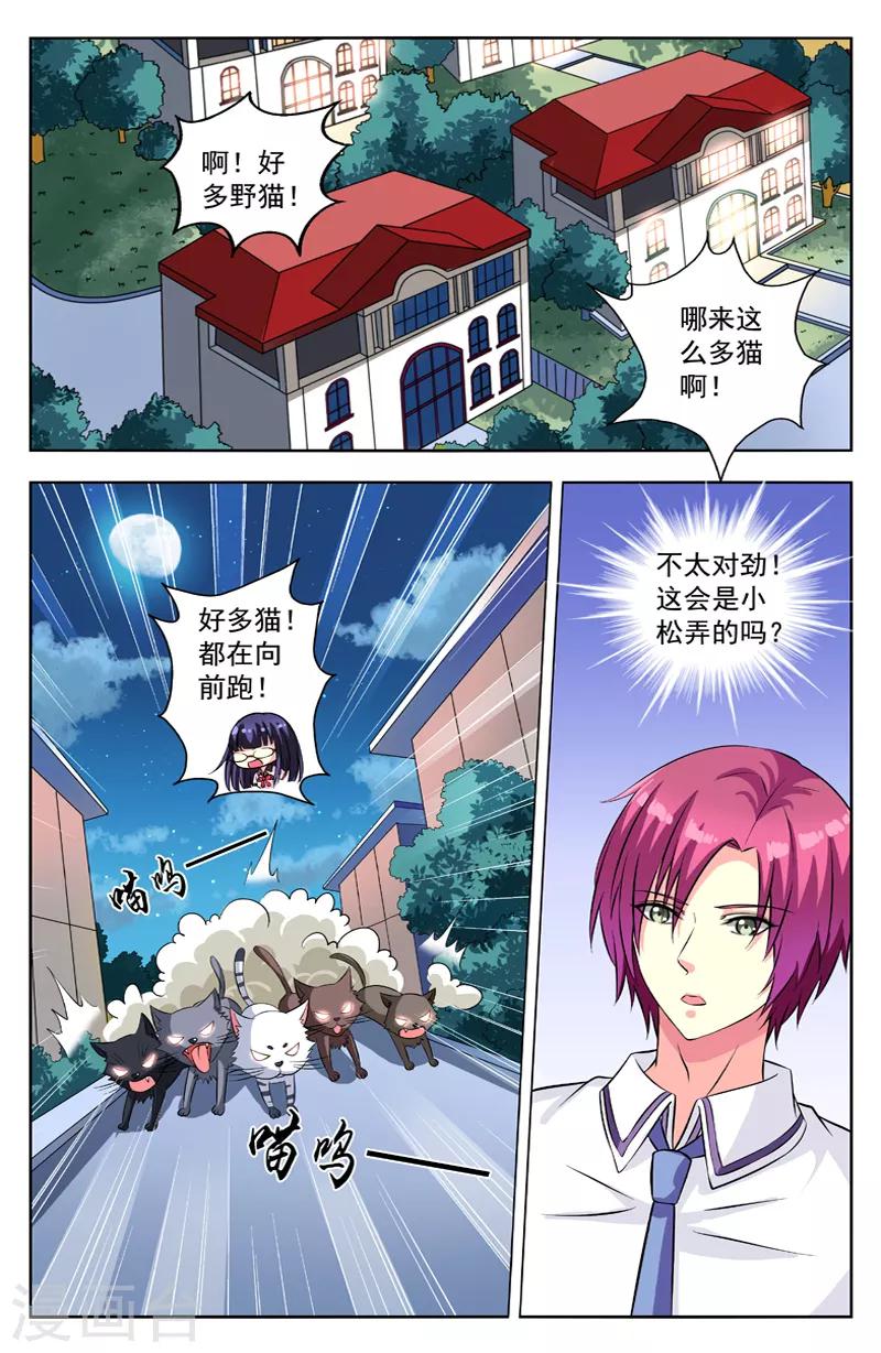 第54话 群猫0