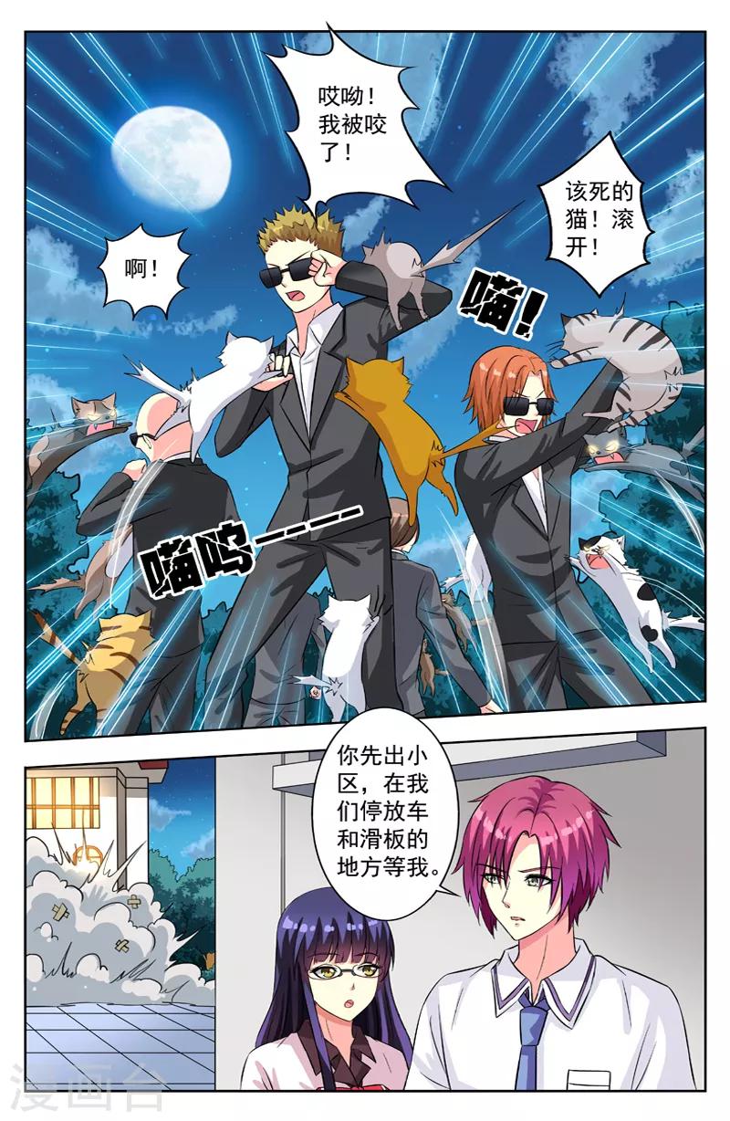 第54话 群猫3