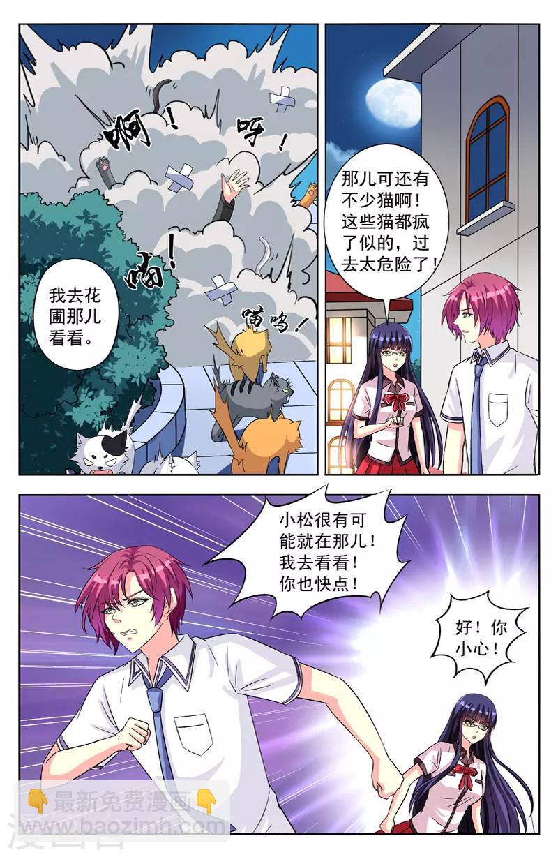第54话 群猫4