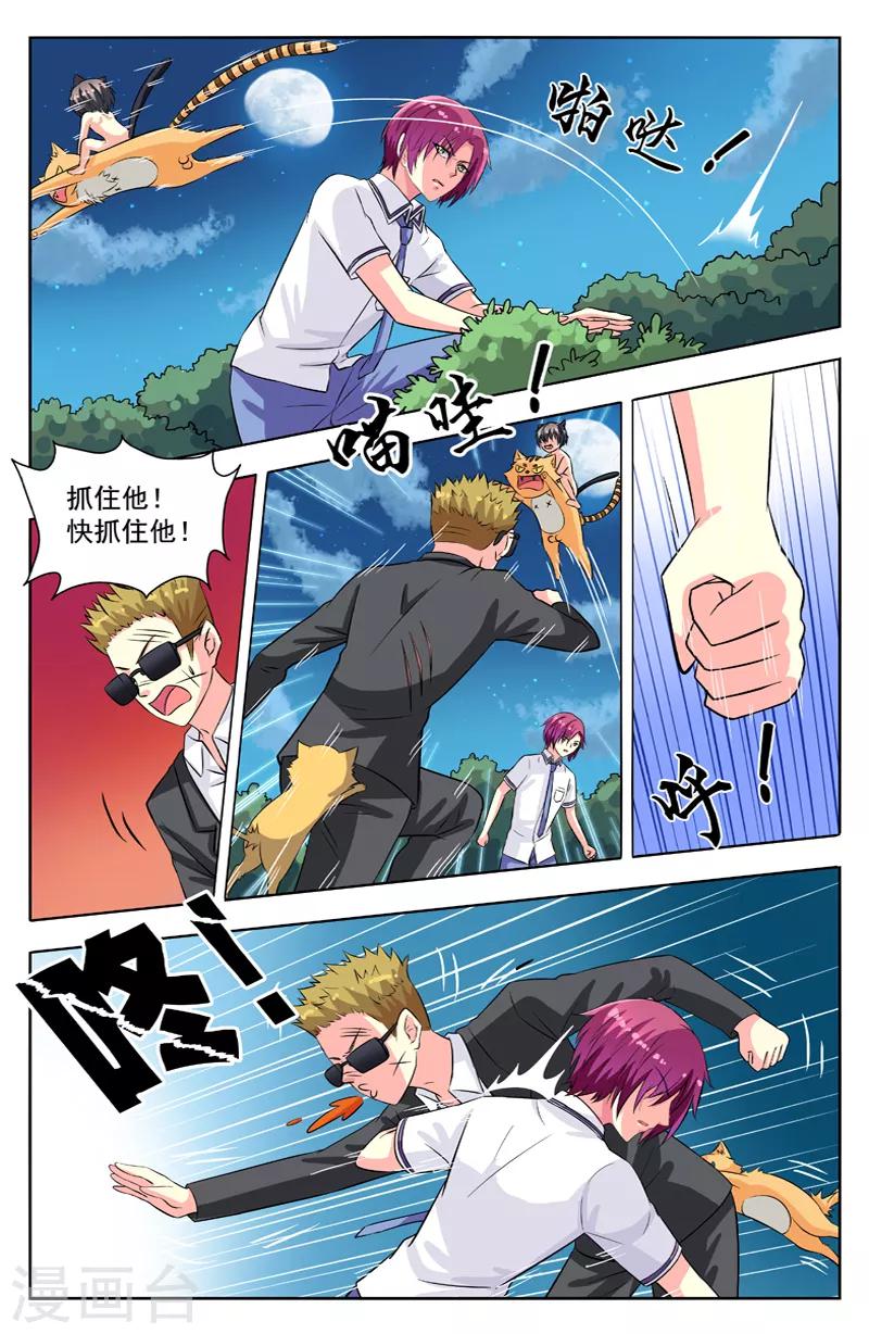 第54话 群猫6