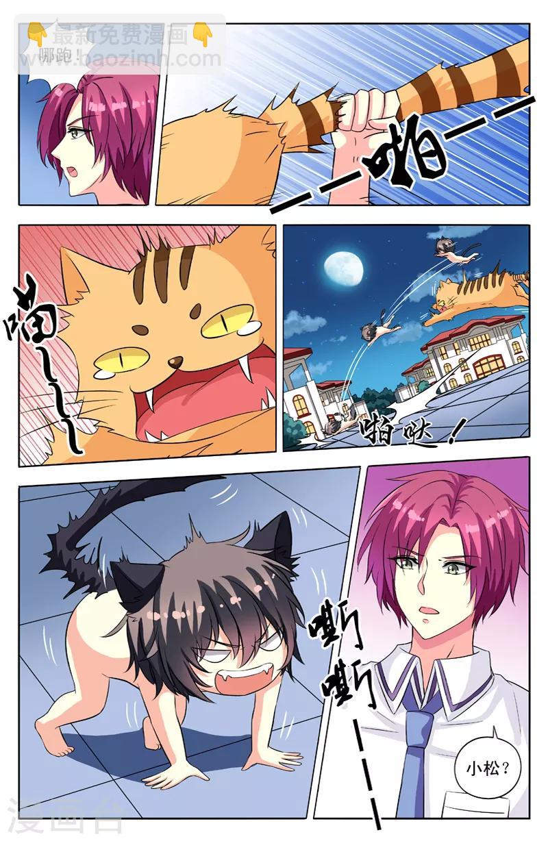 第54话 群猫7