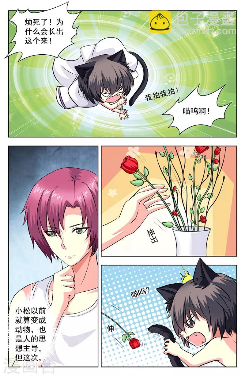 第58话 猫迎松2
