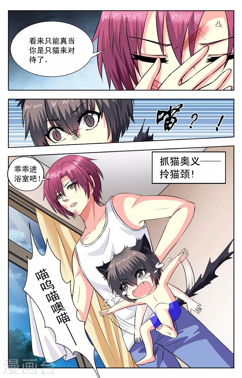 第58话 猫迎松7