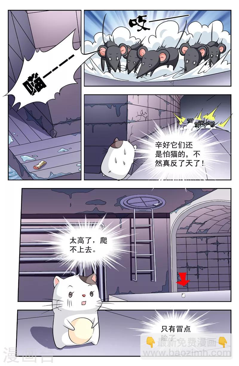 第113话 群鼠4