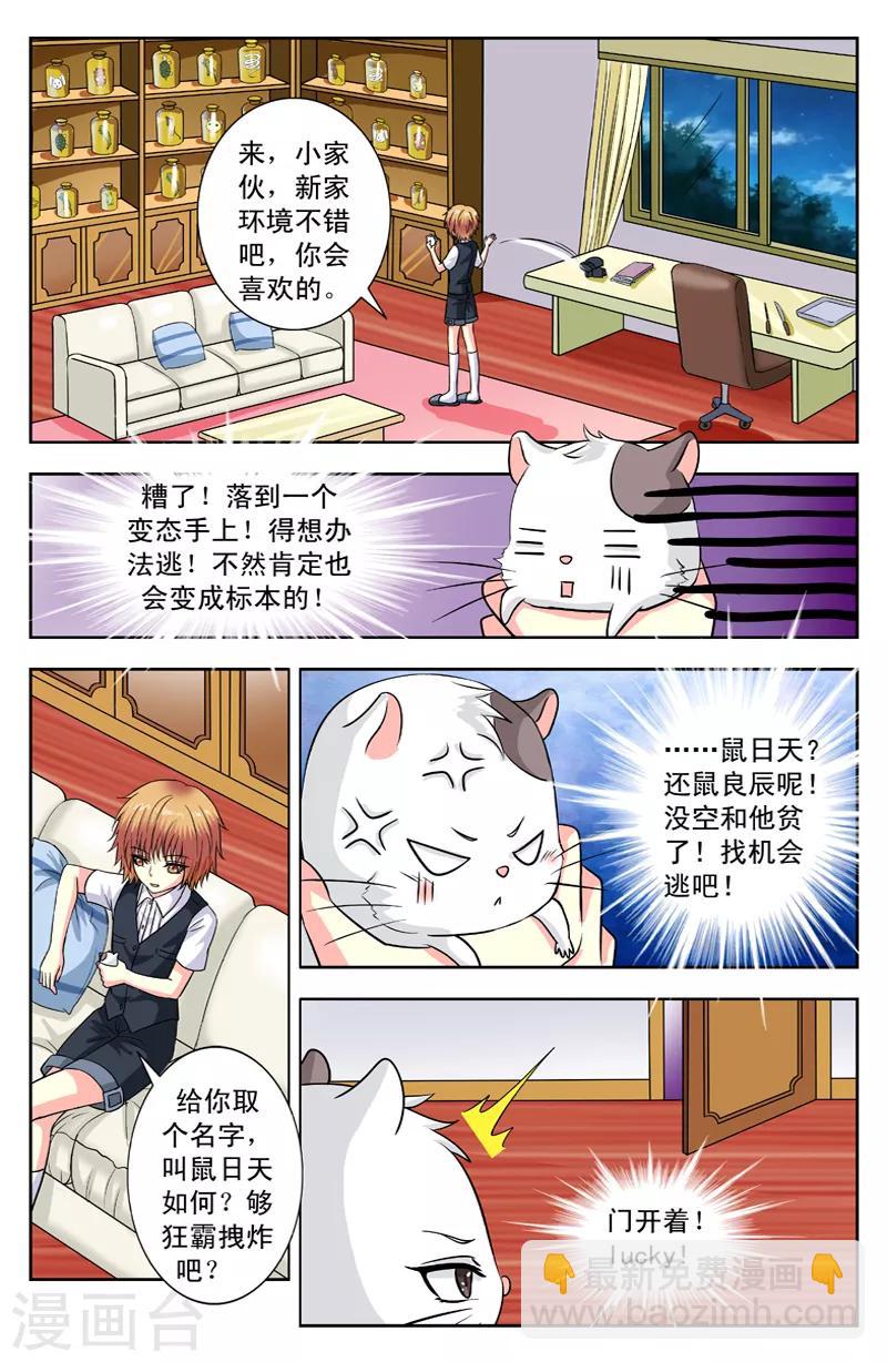 第114话 功能之一1