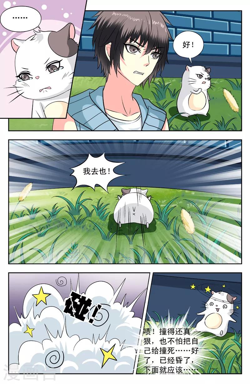 第115话 昏迷4