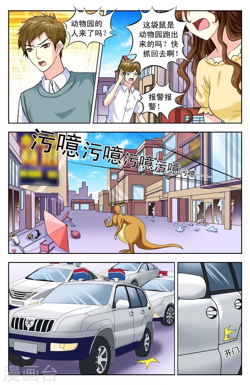 第162话 袋鼠1