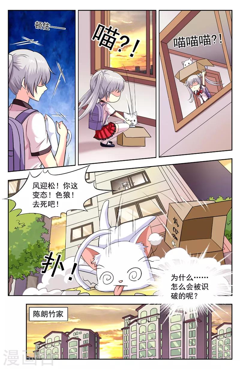 第201话 变猫无用2