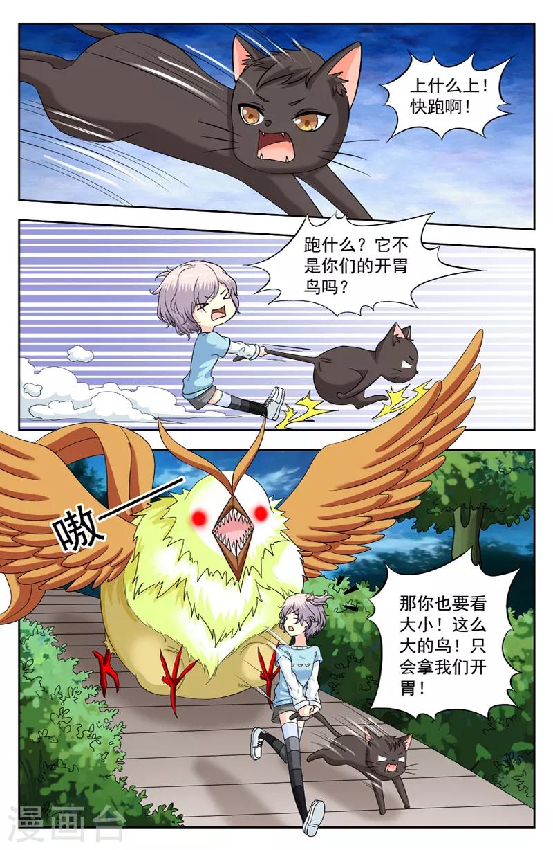 第223话 开胃鸟5