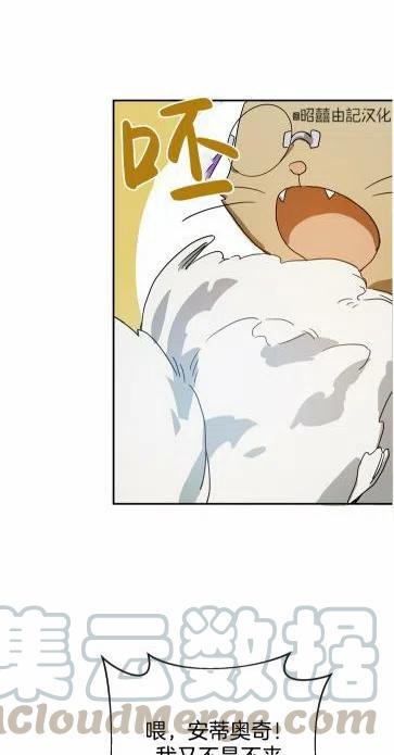 第19话18