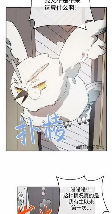 第19话19